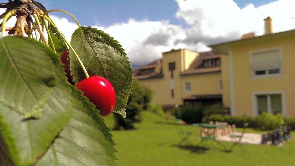 Austria Classic Hotel Heiligkreuz ฮัลล์อินทีโรล ภายนอก รูปภาพ